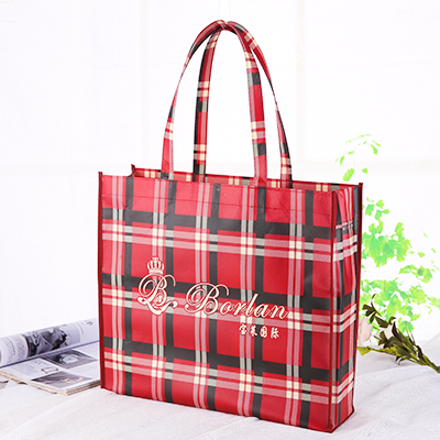 寶萊國際無紡布袋